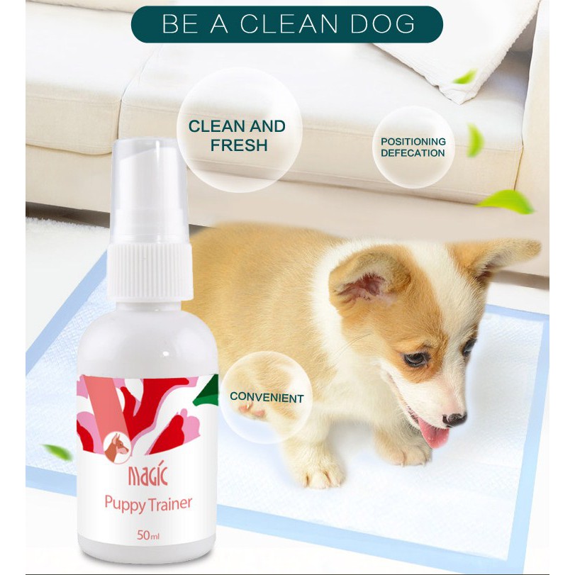 Xịt Vệ Sinh Dạy Chó Đi Vệ Sinh Đúng Chỗ hiệu Magic Puppy Trainer 50ml Pet713 #Pet713