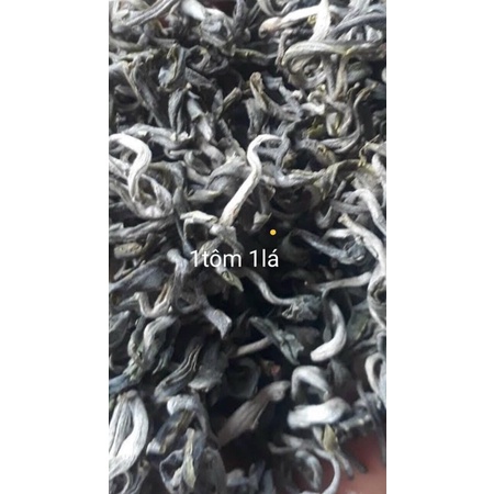 Trà shan tuyết 1tôm -1lá cổ thụ loại hảo hạng đặc sản Hà Giang