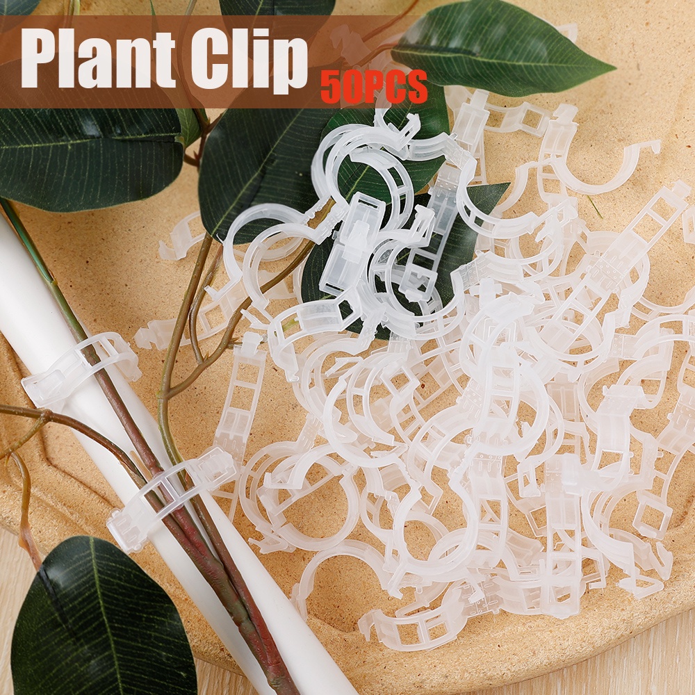 Set 50 Kẹp Cố Định Cây Dây Leo Gắn Tường Tiện Dụng