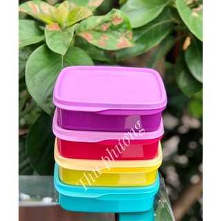 hộp cơm chia ngăn tup indo