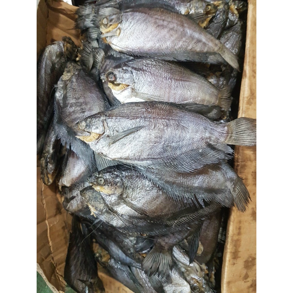 1kg khô cá sặc muối sỗi