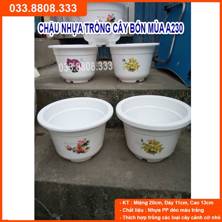 5 Chậu Nhựa Bốn Mùa A250  -Chậu Tròn Trắng Trồng Hoa Cây Cảnh