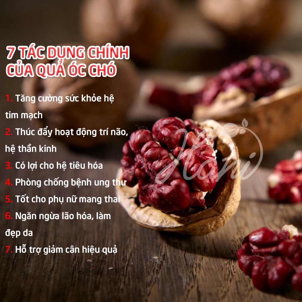 Óc Chó Đỏ Hartley Mỹ 500g nguyên vỏ - Hàng Nhập Khẩu Thượng Hạng [Tặng Kìm Tách Vỏ]  Dinh dưỡng HANI FOOD