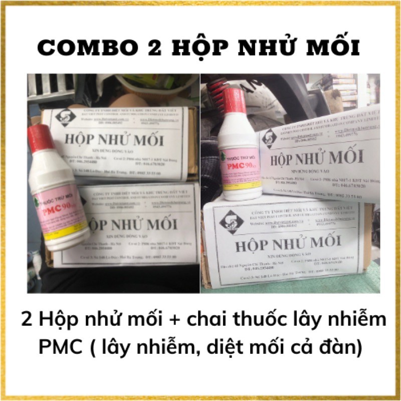 Combo 2 hộp nhử mối và 1 lọ thuốc lây nhiễm PMC 90