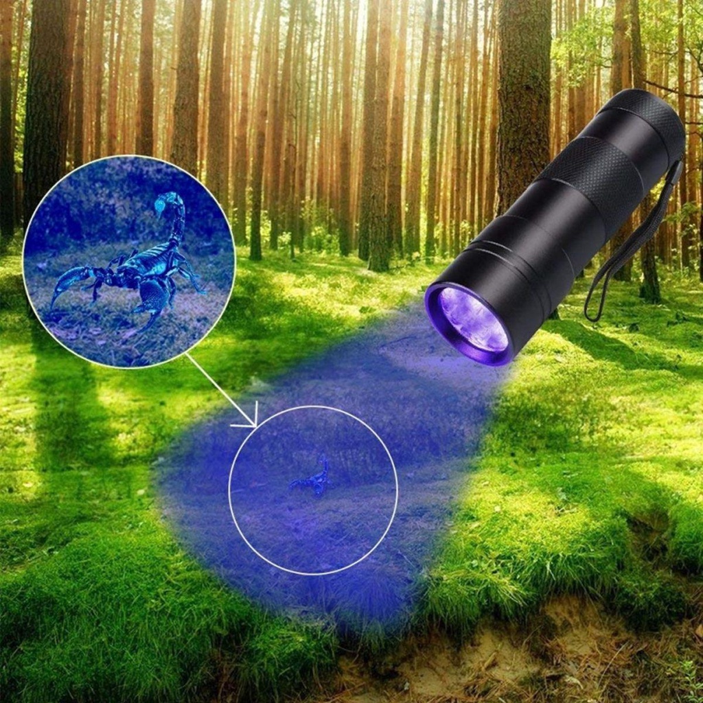 PATRICIA Thảm UV Lót Sàn Chuyên Dụng Chất Lượng Cao