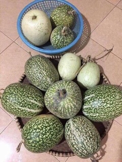 Combo 5 kg hạt bí đen rang chín