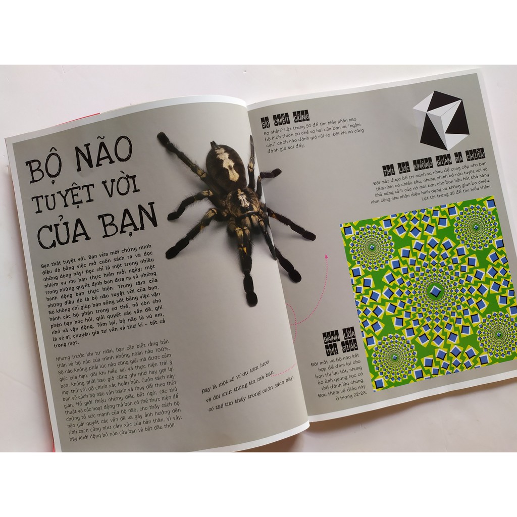 Sách - Vặn Vẹo Trí Não - Nghĩ Một Đằng, Thấy Một Nẻo