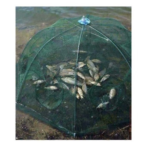 Lưới bát cá bát quái
