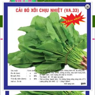 Hạt giống rau Cải bó xôi (rau chân vịt) 20gram