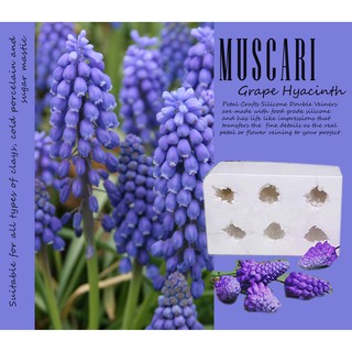 Khuôn vân hoa Muskari