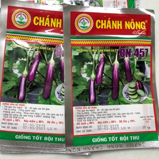 Hạt giống Cà Tím (Cà Nâu)