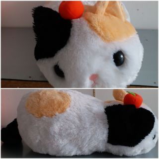 Mèo amuse new 99%