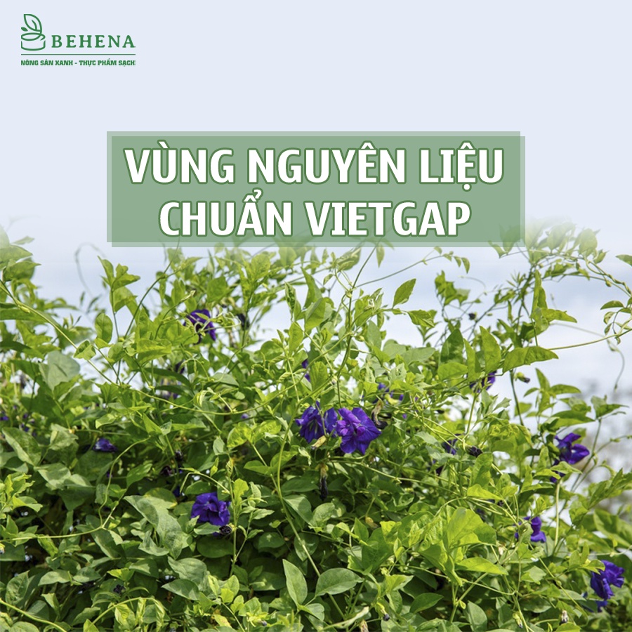 Trà Hoa Đậu Biếc Sấy Khô Behena - Túi 100g - Đẹp Da Chống Lão Hóa, Tăng Cường Trí Nhớ - CRICKET