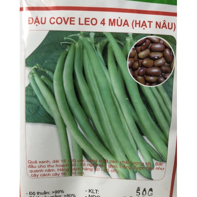 Hạt giống Đậu Cove leo 4 mùa (hạt nâu) 50 gr ☘️