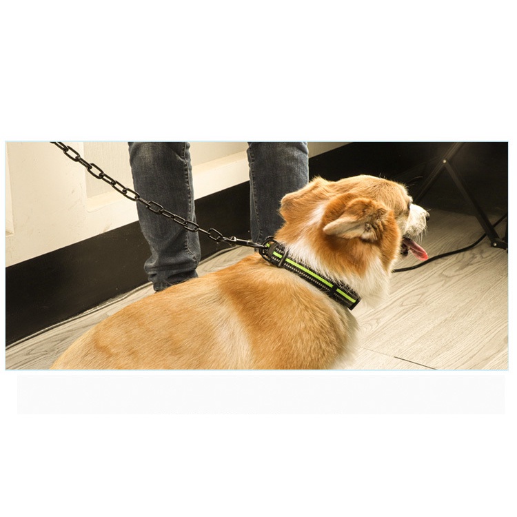 Dây xích Inox kèm vòng cổ cho chó