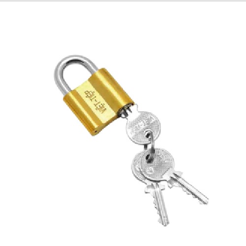 Ổ khóa treo đồng Việt Tiệp 57 x 36 phi 6mm 0138M cao cấp