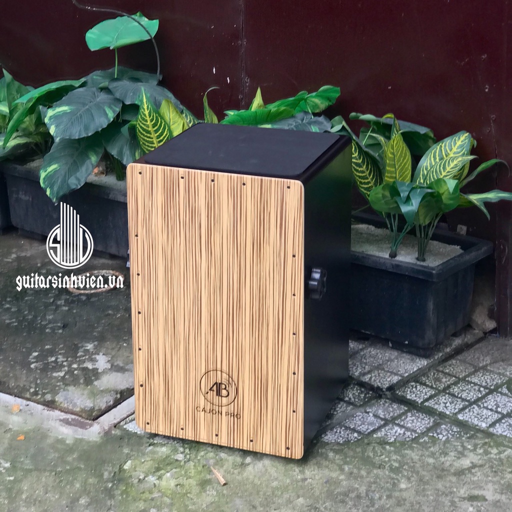 Trống cajon có tay vặn thương hiệu AB màu trắng sọc - Tặng bao dù đựng chống nước - Snare chắc tiếng và vang