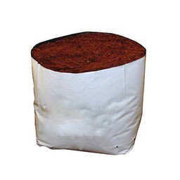 Túi trồng dưa lưới hai lớp  trắng đen 20x40cm  (1KG/ khoảng 32-35 cái)