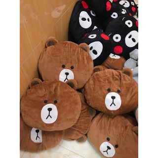 Túi sưởi điện gấu Brown