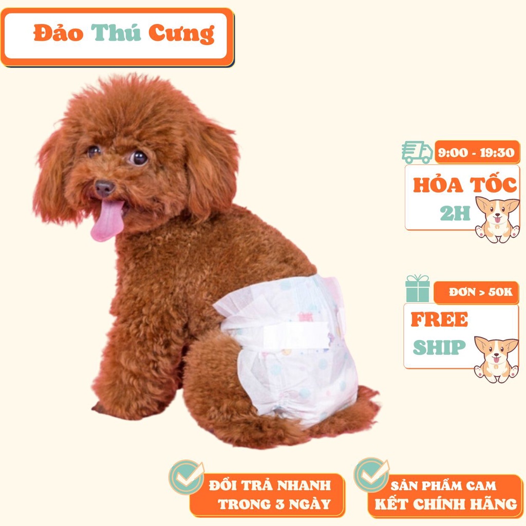 HCM- Combo 10 miếng bỉm quần dạng dán chó mèo cao cấp (kiểu bỉm quần) loại siêu thấm ĐỦ SIZE