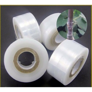 Băng keo quấn mối ghép cây tự dính - PE 5F