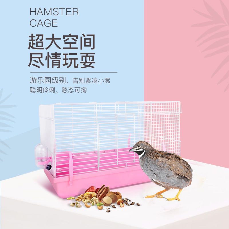 Lồng đại bigsize, lồng nuôi hamster, sóc, bọ ú. Lồng đại trống 47cm [kèm bình 60ml và chén ăn]