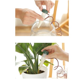 Dụng cụ tưới nước tự động [BÁN LỖ]- Tưới cây thẩm thấu - Trồng cây không cần chăm sóc - Hút nước tự động (1 chiếc)