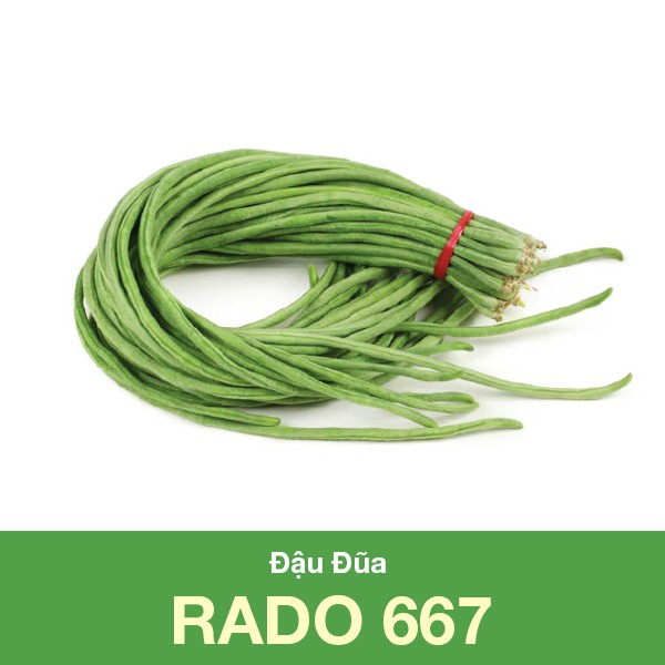 Hạt giống Đậu Đũa RADO 667 (20gr)