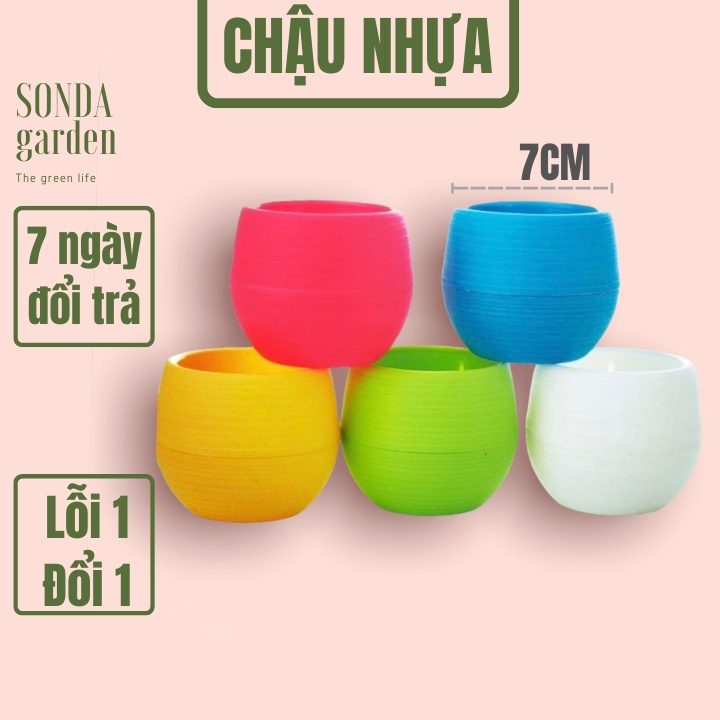 Chậu nhựa tròn mini SONDA GARDEN kích thước 7x7cm