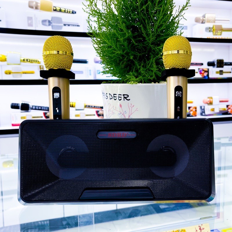 Loa Hát Karaoke Bluetooth SD-301 Kèm 2 Micro Không Dây