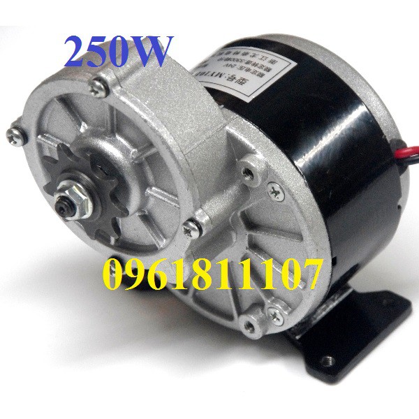 Motor giảm tốc 12V 250W