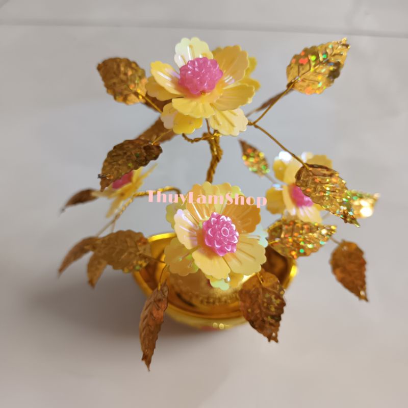 Cây cành vàng lá ngọc mini nhỏ xinh xinh để bàn thu hút tài lộc