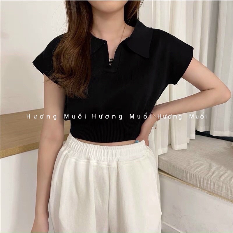 Áo len cổ polo trơn - áo croptop | BigBuy360 - bigbuy360.vn
