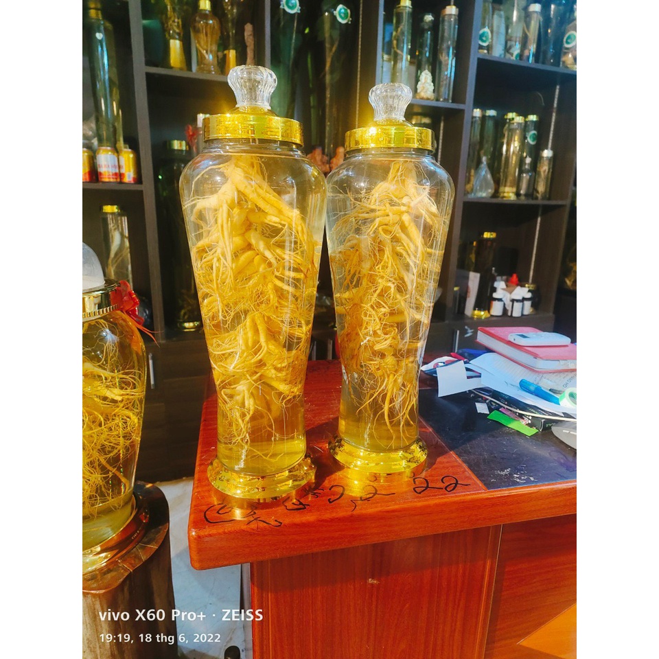 1Kg Sâm trường bạch mầm