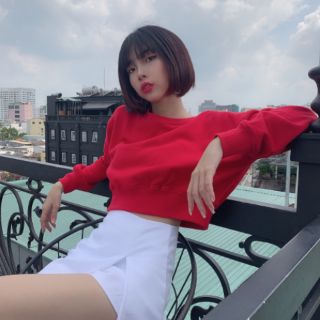 Crop Hoodie