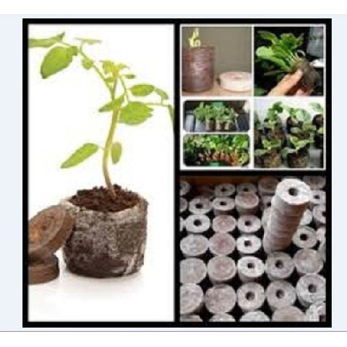 Viên nén ươm hạt xơ dừa - viên nén ươm hạt - 10 viên -sth