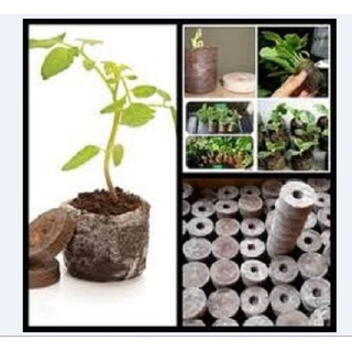 Bộ 50 viên nén ươm hạt - viên nén xơ dừa kích mầm -HGT