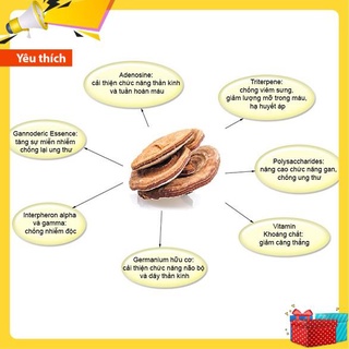 Nấm Linh Chi Túi Vàng Hàn Quốc [ Nấm Linh Chi _ Quà Tặng Cao Cấp ]