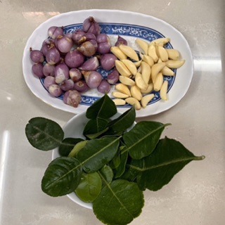 Cây chanh thái( cây chúc hấp gà)