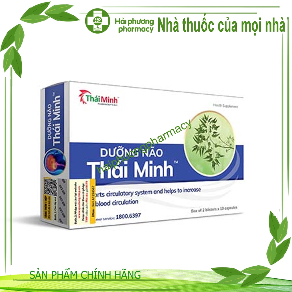Dưỡng Não Thái Minh – Hỗ trợ hoạt huyết , giúp tăng cường lưu thông máu não