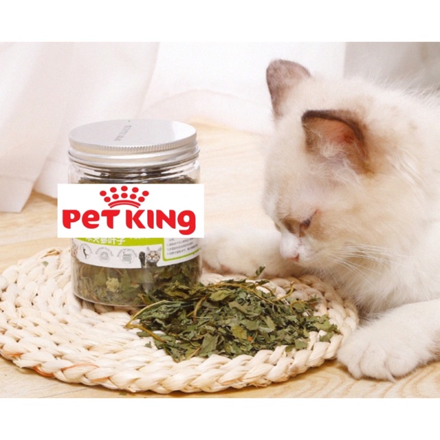 Cỏ Bạc Hà(Catnip) cho Mèo Yêu hộp Lớn