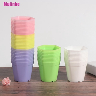 Set 5 Chậu nhựa trồng hoa mini