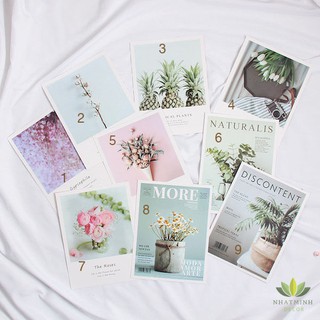 Thiệp nhỏ trang trí chụp ảnh sản phẩm