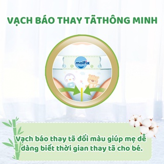 Tã/bỉm dán Molfix Thiên nhiên Jumbo M (6kg - 11kg) - Gói 48+6 miếng