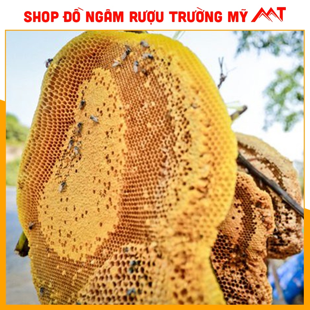 01Lít mật ong khoái rừng Tây Bắc - nguyên chất - chất lượng cao