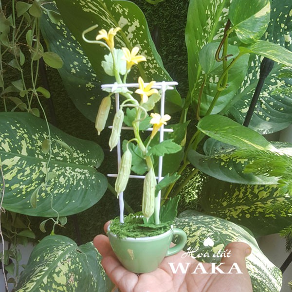Hoa Đất Sét Mini- Giàn Mướp