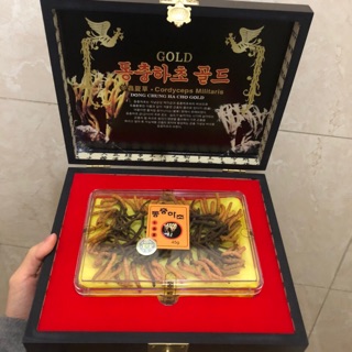 Đông Trùng Hạ Thảo con - hộp 45g con Đông trùng