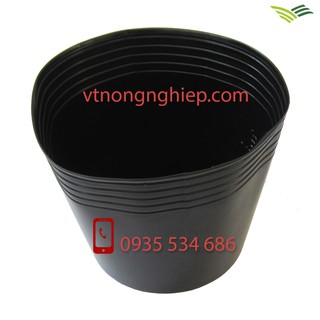 50 Chậu nhựa đen C7, Hiệu Vĩ Hiền, Miệng 15cm, đáy 12cm, Cao 14cm, chậu nhựa trồng cây mềm, dẻo, kích thước chuẩn