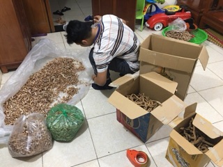 Củ ba kích đã làm sạch bỏ lõi