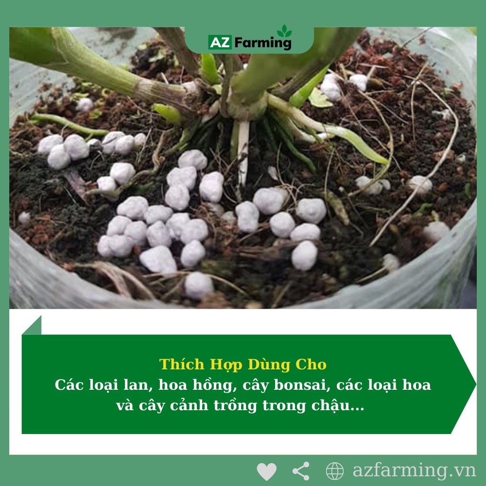 Phân Tan Chậm Nhật Bản Hi Control 14-13-13 - AZ Farming